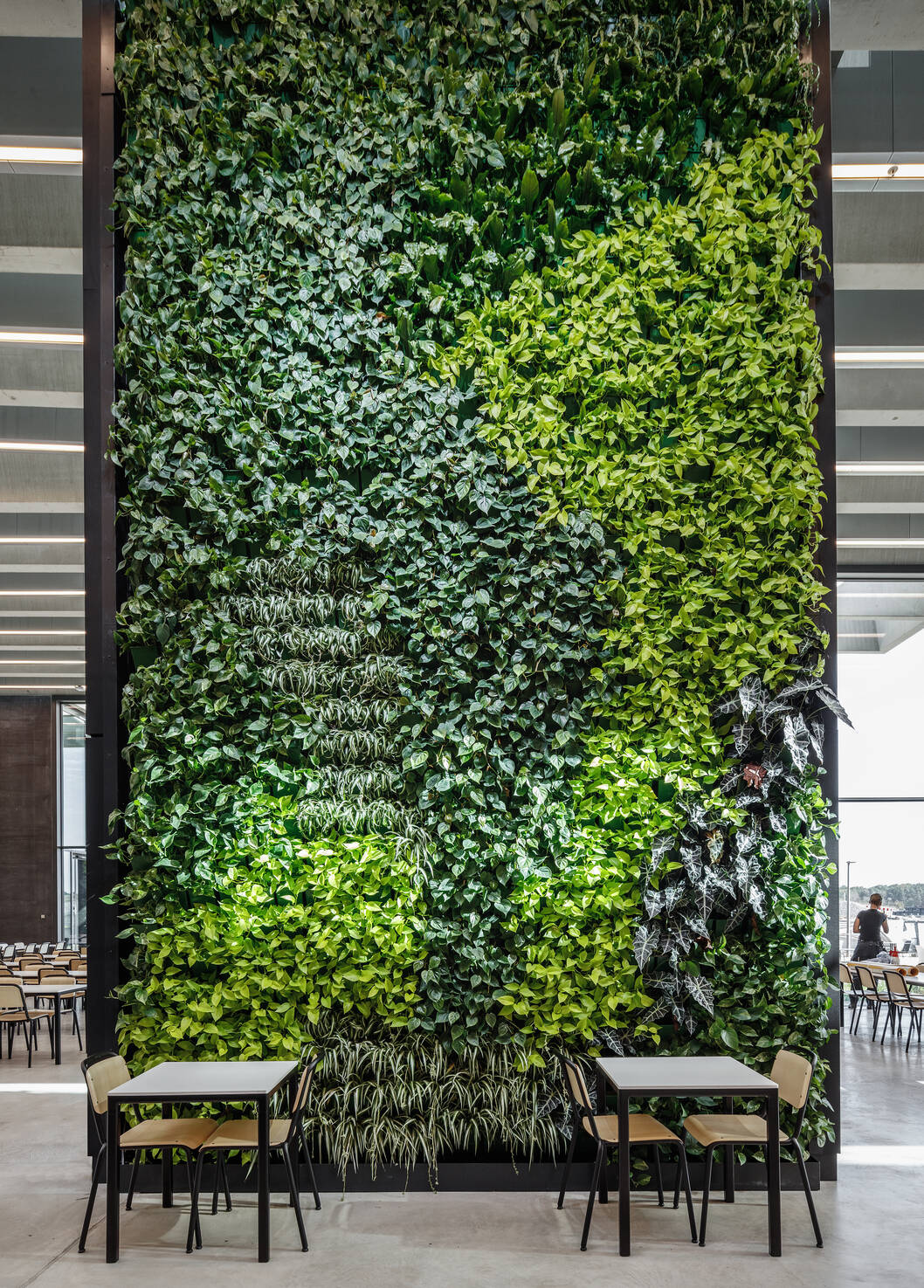cobe adidas halftime plants wall cobe adidas halftime plants wall