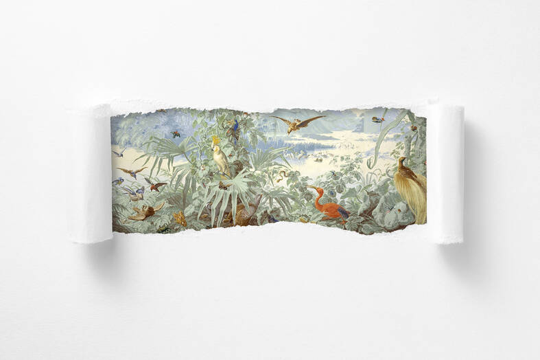 cobe ideas wallpaper museum gif cobe ideas wallpaper museum gif